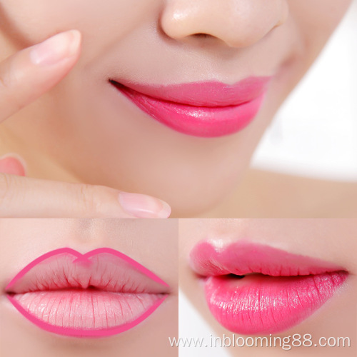 Waterproof Matte Makeup Private Label Lip Liner Lipstick